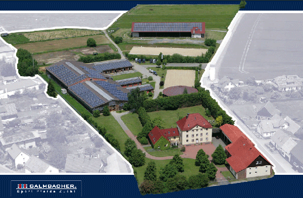 Gestüht Galmbacher Schlossgut